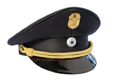 Mützen- und Kragenabzeichen – Bild 2